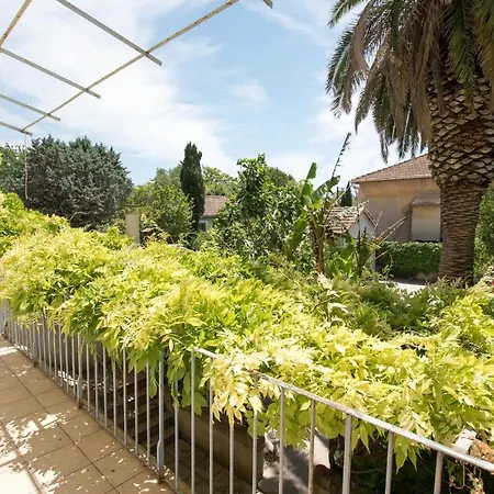 Palmeira, Piscine - Parking - Clim * Arles