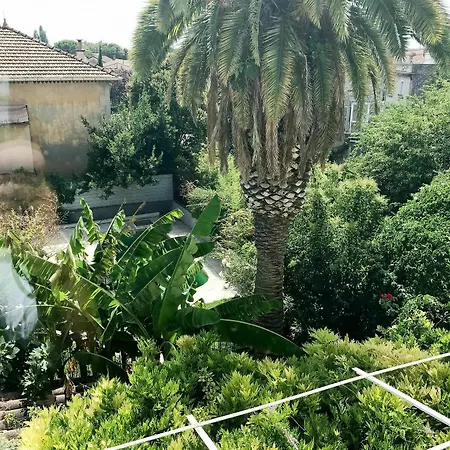 Palmeira, Piscine - Parking - Clim Arles
